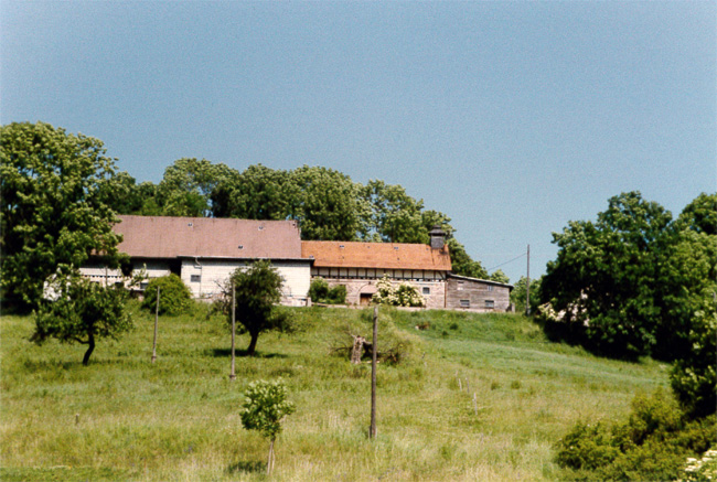 Kreuzgewölbe Talseite 1991